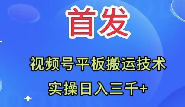 全网首发：视频号平板搬运技术，实操日入三千＋-网创源码