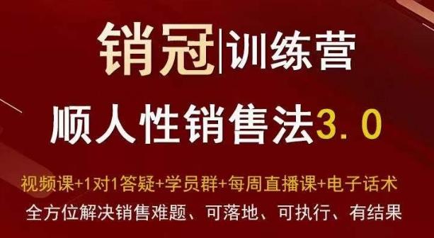 爆款！销冠训练营3.0之顺人性销售法，全方位解决销售难题、可落地、可执行、有结果-网创源码