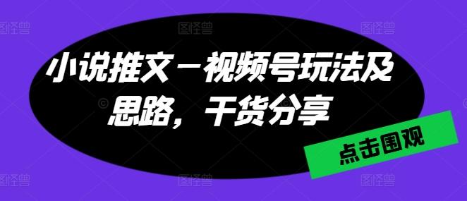 小说推文—视频号玩法及思路,干货分享-网创源码