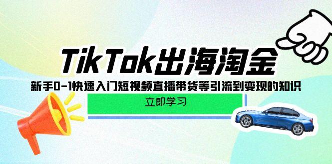 (10035期)TikTok-出海淘金,新手0-1快速入门短视频直播带货等引流到变现的知识-网创源码