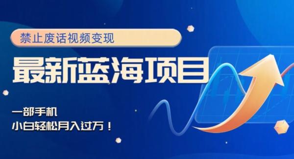 最新蓝海项目，靠禁止废话视频变现，一部手机，小白轻松月入过万！-网创源码