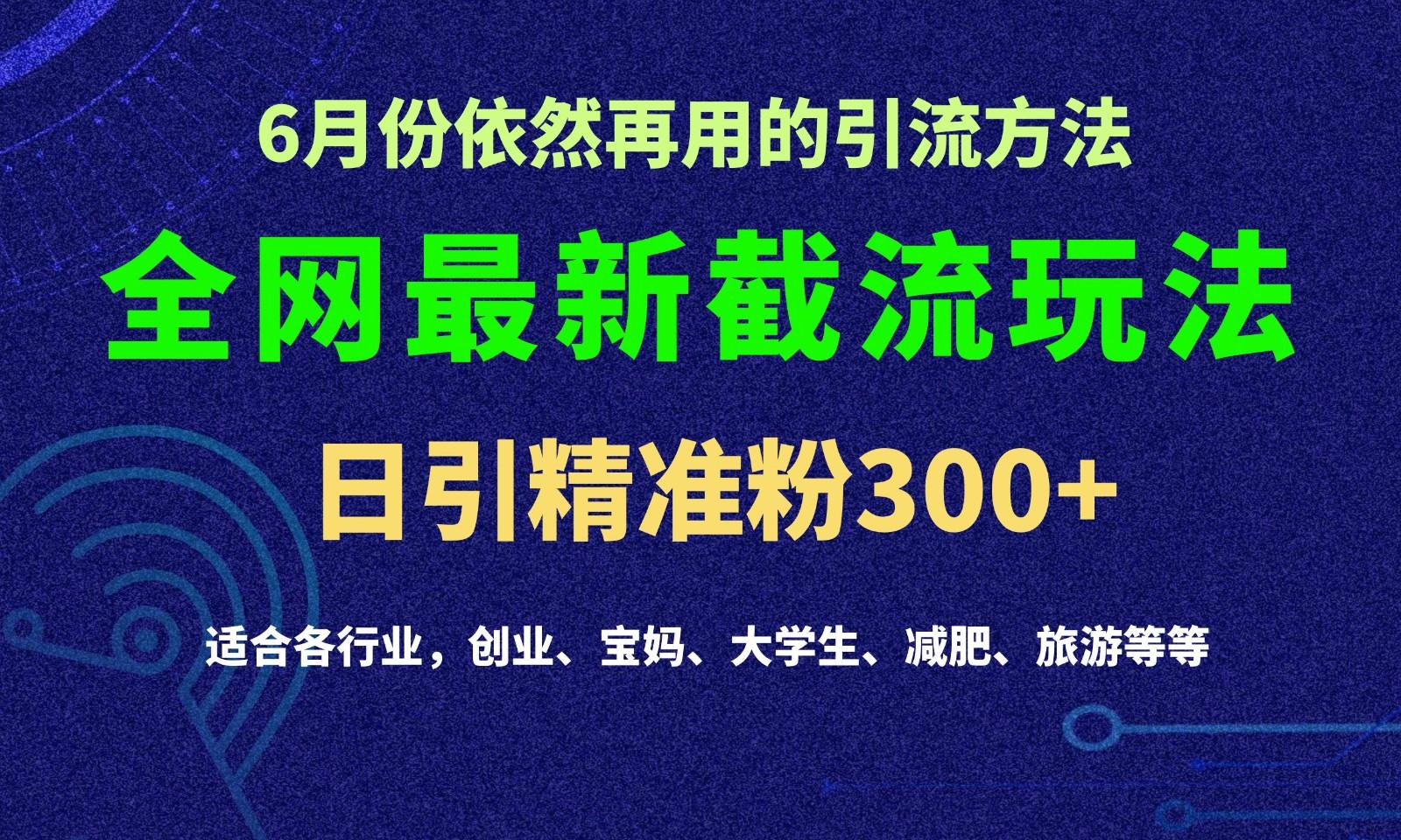 2024全网最新截留玩法,每日引流突破300+-网创源码