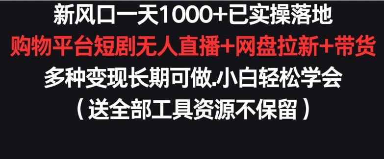 新风口一天1000+已实操落地购物平台短剧无人直播+网盘拉新+带货多种变现长期可做【揭秘】-网创源码