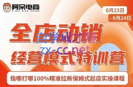 阿呆电商·全店动销经营模式特训营(线下录音+思维导图)-网创源码