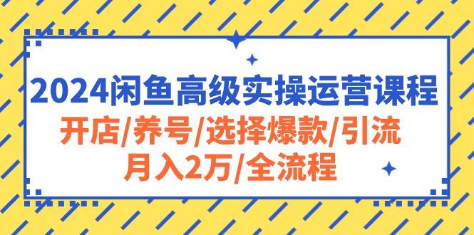 2024闲鱼高级实操运营课程:开店/养号/选择爆款/引流/月入2万/全流程-网创源码