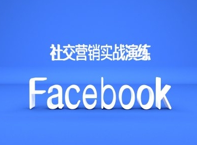 Facebook社交营销实战演练，外贸人绝对不能错过的营销推广平台-网创源码