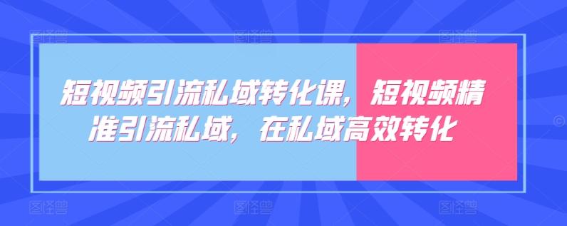 短视频引流私域转化课，短视频精准引流私域，在私域高效转化-网创源码