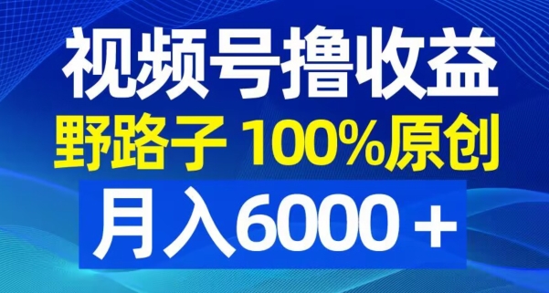 视频号野路子撸收益，100%原创，条条爆款，月入6000＋【揭秘】-网创源码