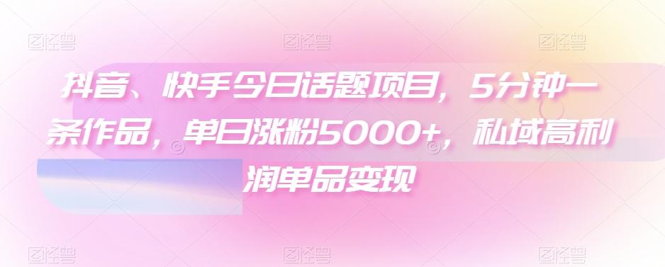 抖音、快手今日话题项目，5分钟一条作品，单日涨粉5000+，私域高利润单品变现-网创源码