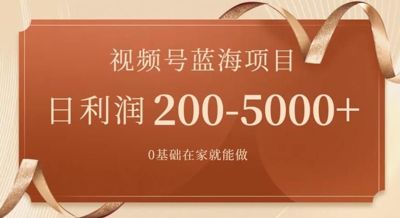 外边收费699视频号项目,最新玩法,简单好操作,一人可做,日四位数-网创源码