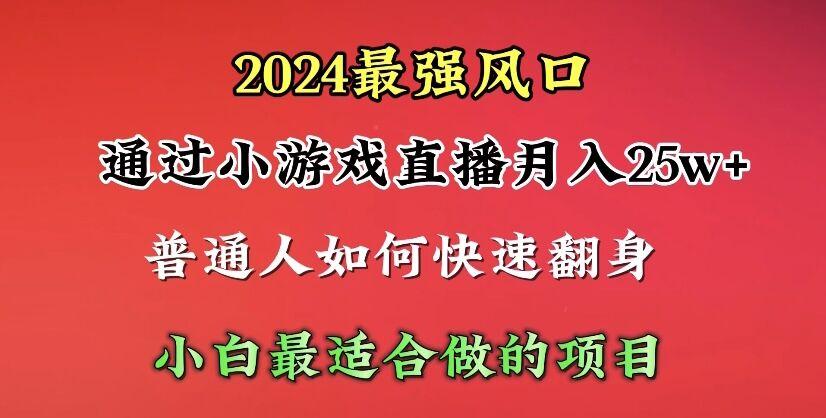 (10020期)2024年最强风口，通过小游戏直播月入25w+单日收益5000+小白最适合做的项目-网创源码