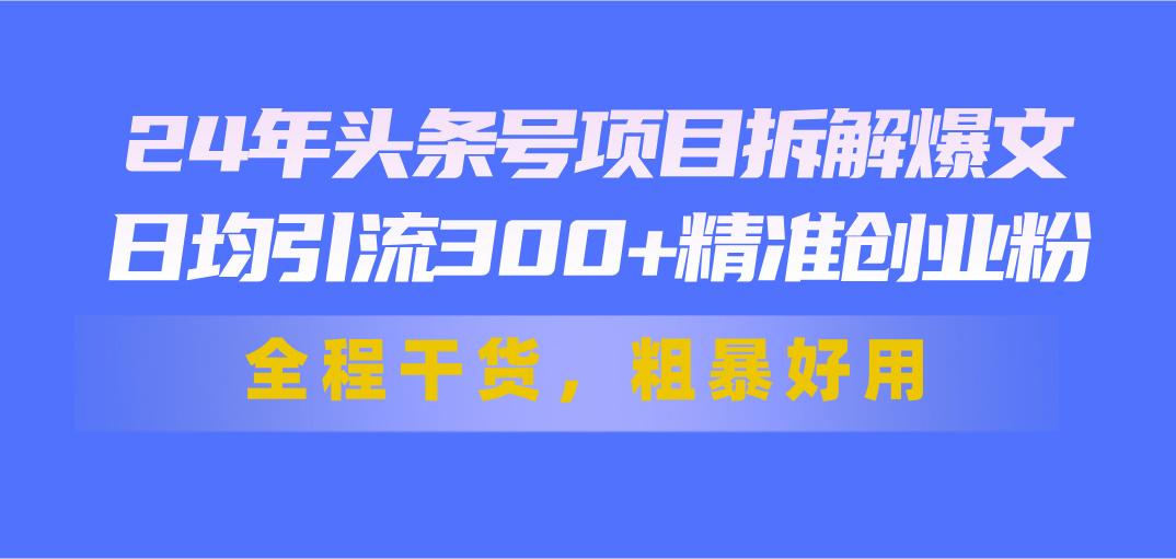 24年头条号项目拆解爆文，日均引流300+精准创业粉，全程干货，粗暴好用-网创源码