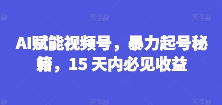 AI赋能视频号，暴力起号秘籍，15 天内必见收益【揭秘】-网创源码
