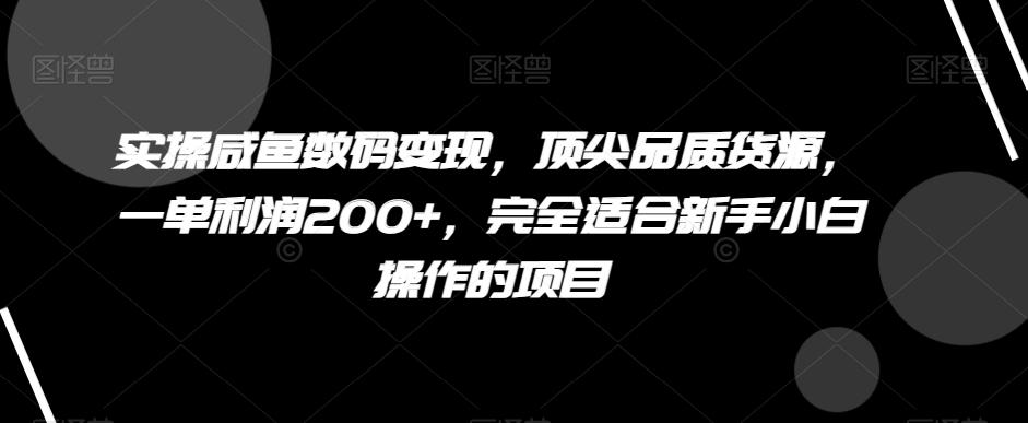 实操咸鱼数码变现，顶尖品质货源，一单利润200+，完全适合新手小白操作的项目【揭秘】-网创源码