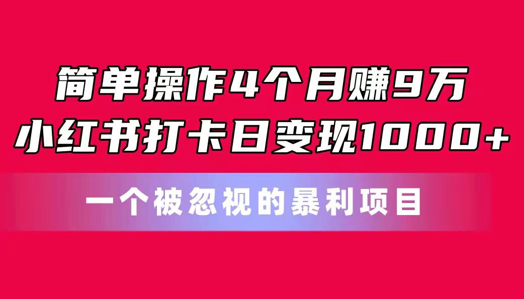简单操作4个月赚9万！小红书打卡日变现1000+！一个被忽视的暴力项目-网创源码