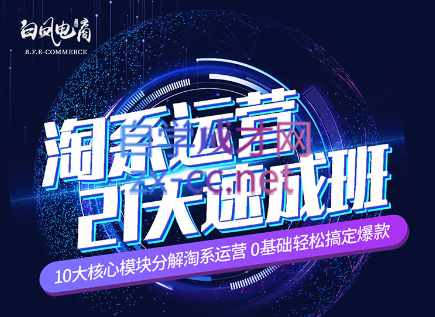 淘系运营21天速成班(更新24年5月)-网创源码