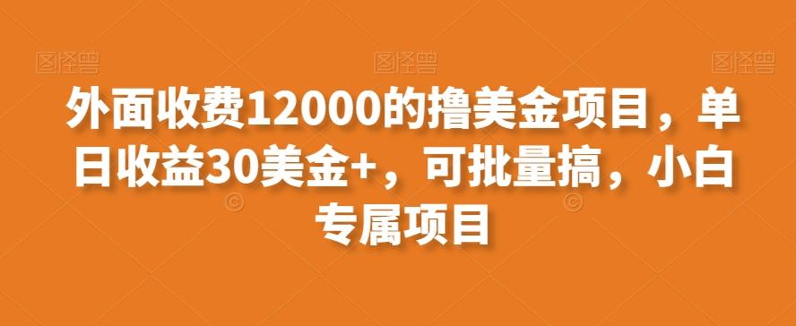 外面收费12000的撸美金项目，单日收益30美金+，可批量搞，小白专属项目-网创源码