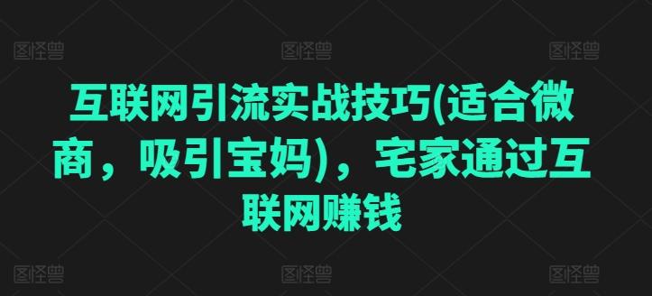互联网引流实战技巧(适合微商，吸引宝妈)，宅家通过互联网赚钱-网创源码