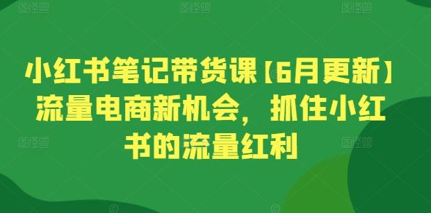 小红书笔记带货课【6月更新】流量电商新机会，抓住小红书的流量红利-网创源码