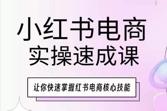 小红书电商实操速成课，让你快速掌握红书电商核心技能-网创源码