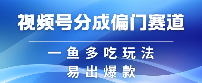 视频号创作者分成计划偏门类目，容易爆流，实拍内容简单易做【揭秘】-网创源码