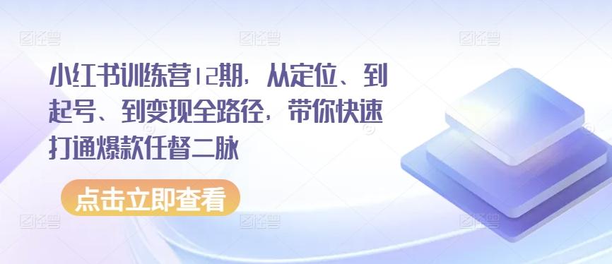 小红书训练营12期，从定位、到起号、到变现全路径，带你快速打通爆款任督二脉-网创源码