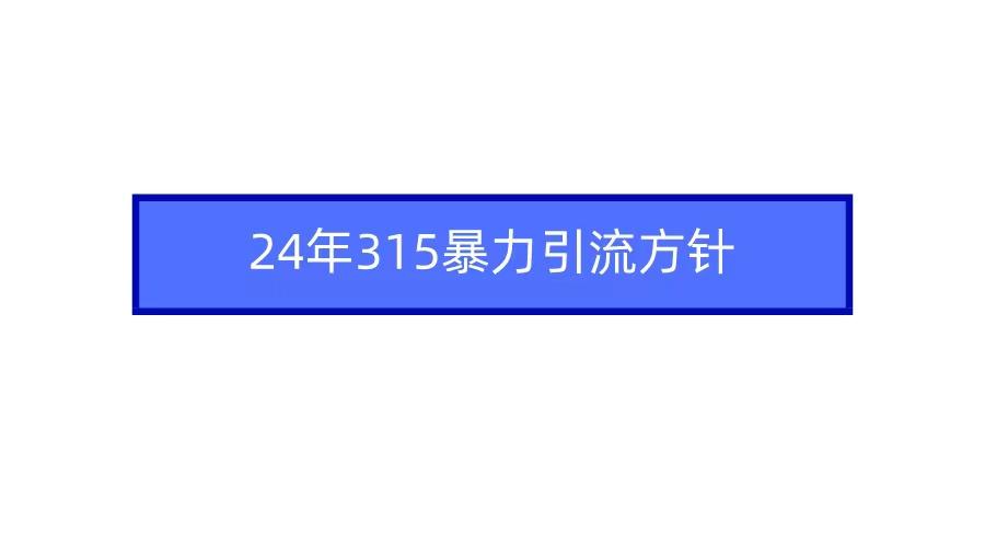 (9398期)2024年315暴力引流方针-网创源码