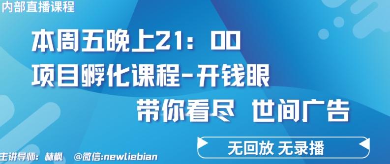 4.26日内部回放课程《项目孵化-开钱眼》赚钱的底层逻辑【揭秘】-网创源码