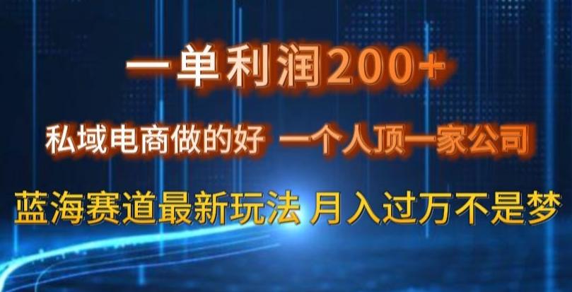 一单利润200私域电商做的好，一个人顶一家公司蓝海赛道最新玩法【揭秘】-网创源码
