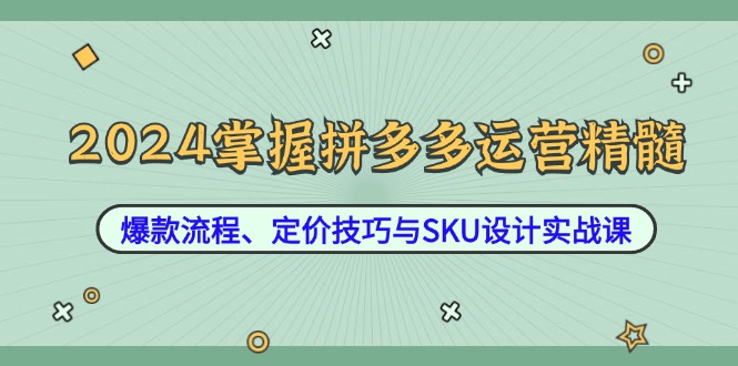 2024掌握拼多多运营精髓：爆款流程、定价技巧与SKU设计实战课-网创源码