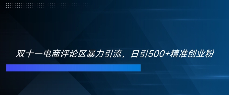 双十一电商评论区暴力引流,日引500+精准创业粉【揭秘】-网创源码