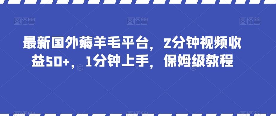 最新国外薅羊毛平台,2分钟视频收益50+,1分钟上手,保姆级教程【揭秘】-网创源码