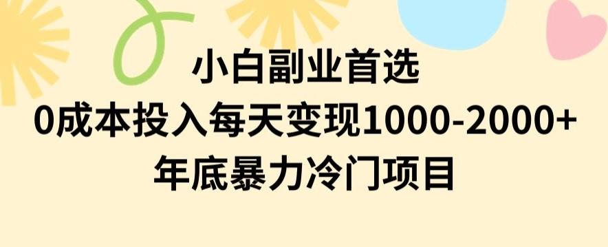 小白副业首选，0成本投入，每天变现1000-2000年底暴力冷门项目【揭秘】-网创源码