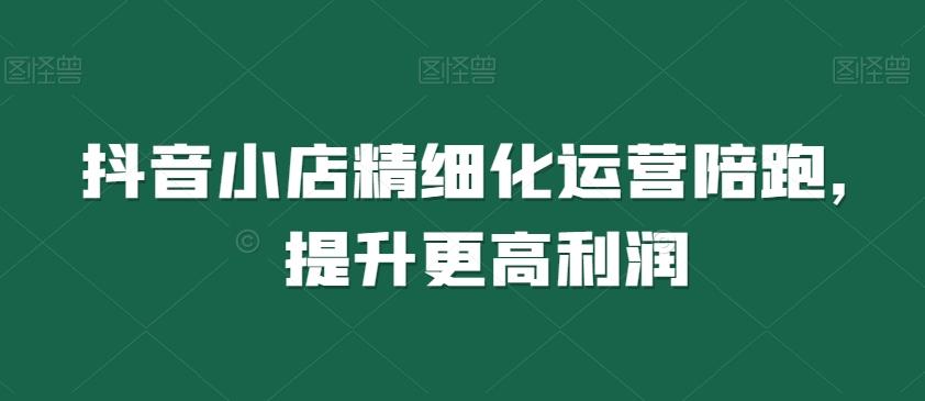 抖音小店精细化运营陪跑，提升更高利润-网创源码