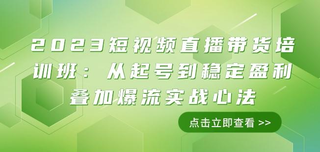2023短视频直播带货培训班：从起号到稳定盈利叠加爆流实战心法（11节课）-网创源码