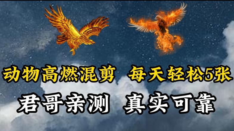 动物超燃混剪,每天轻松5张,剪辑简单大家爱看【揭秘】-网创源码