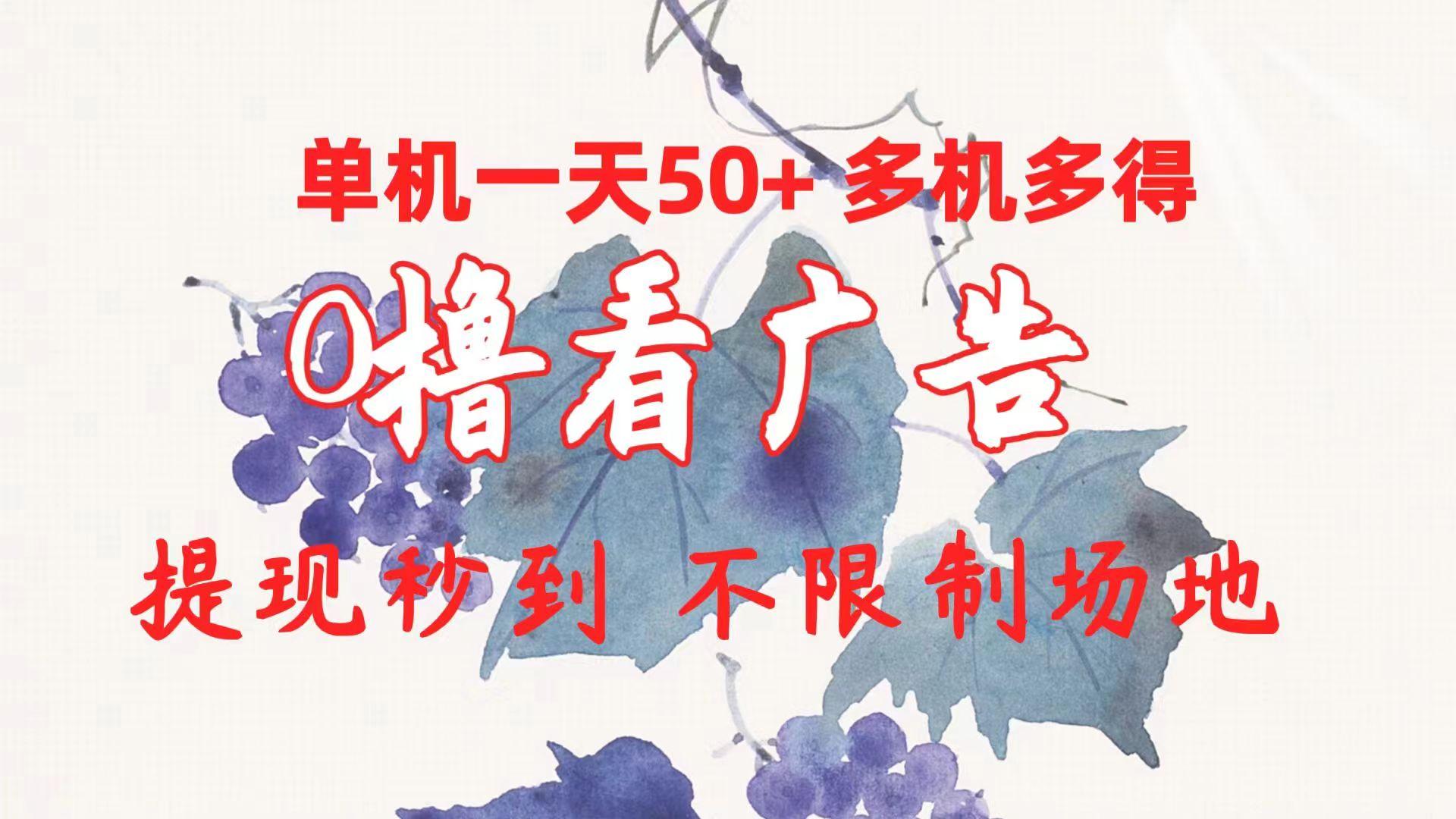 0撸看广告 单机一天50+多机多得 提现秒到 不限制场地操作-网创源码