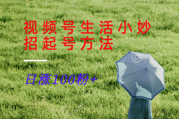 视频号生活小妙招分享赛道， 起号涨粉新方法，日涨100粉-网创源码