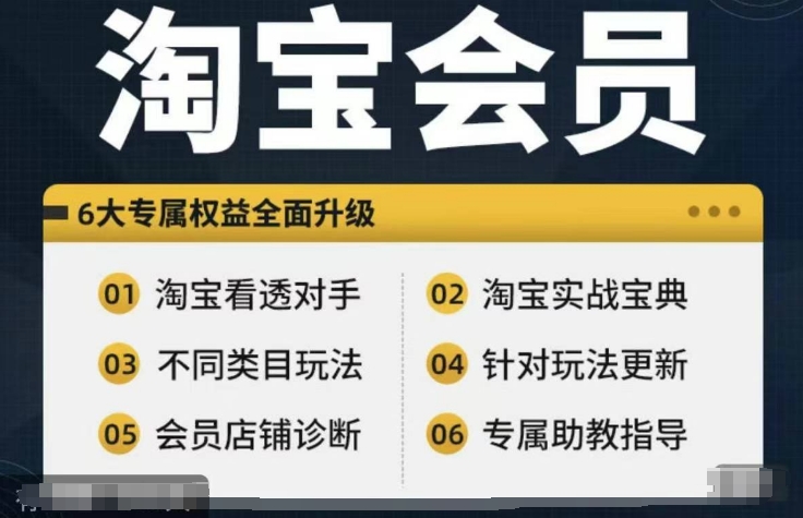 淘宝会员【淘宝所有课程，全面分析对手】，初级到高手全系实战宝典-网创源码