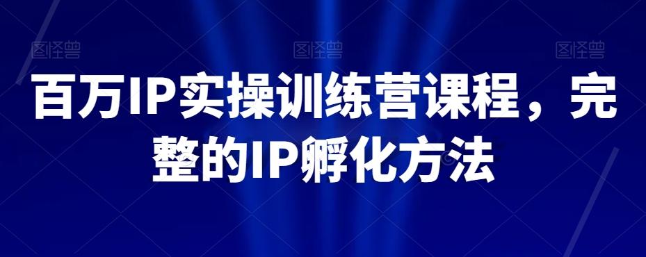 百万IP实操训练营课程，完整的IP孵化方法-网创源码