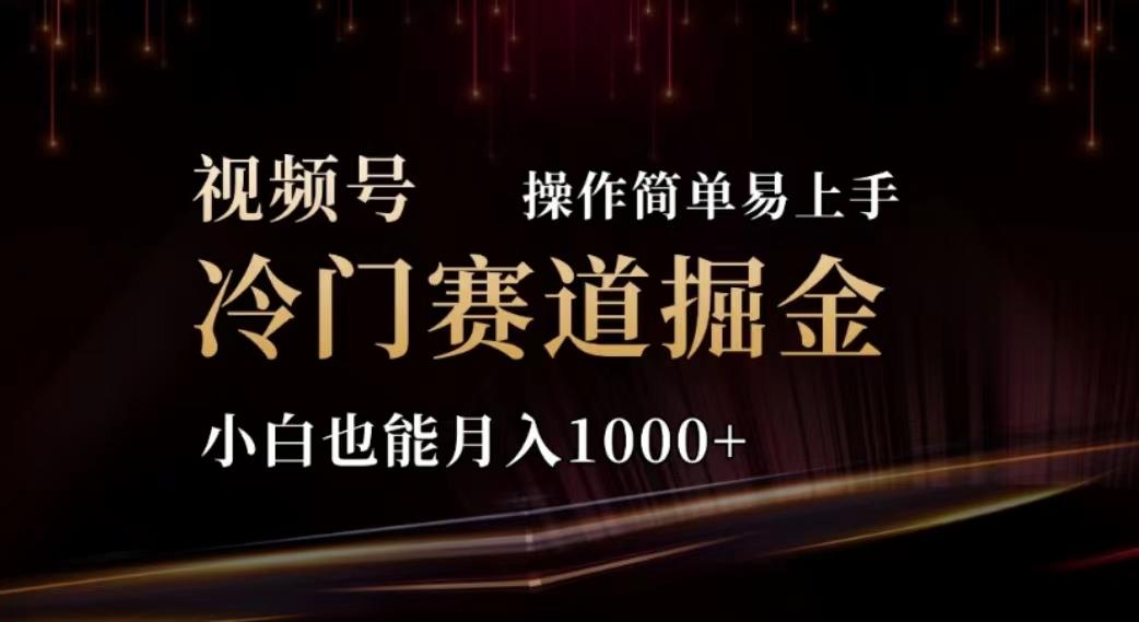 2024视频号冷门赛道掘金，操作简单轻松上手，小白也能月入1000+-网创源码