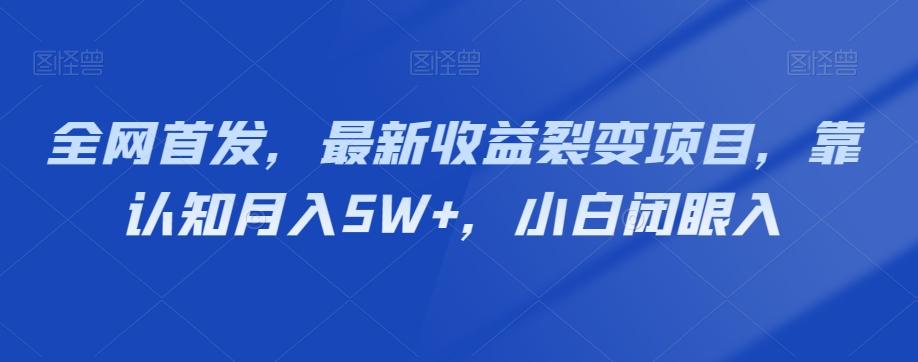 全网首发，最新收益裂变项目，靠认知月入5W+，小白闭眼入-网创源码
