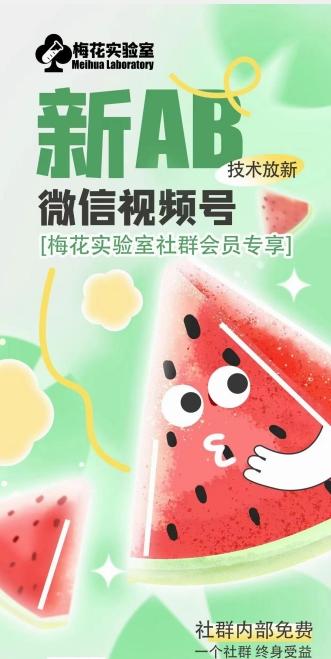 梅花实验室2024年AB技术视频号AB合成破解版-网创源码