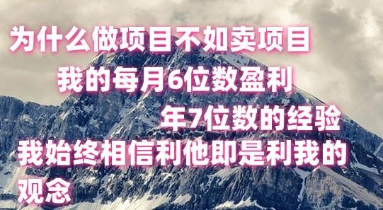 做项目不如卖项目，每月6位数盈利，年7位数经验-网创源码