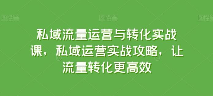 私域流量运营与转化实战课，私域运营实战攻略，让流量转化更高效-网创源码