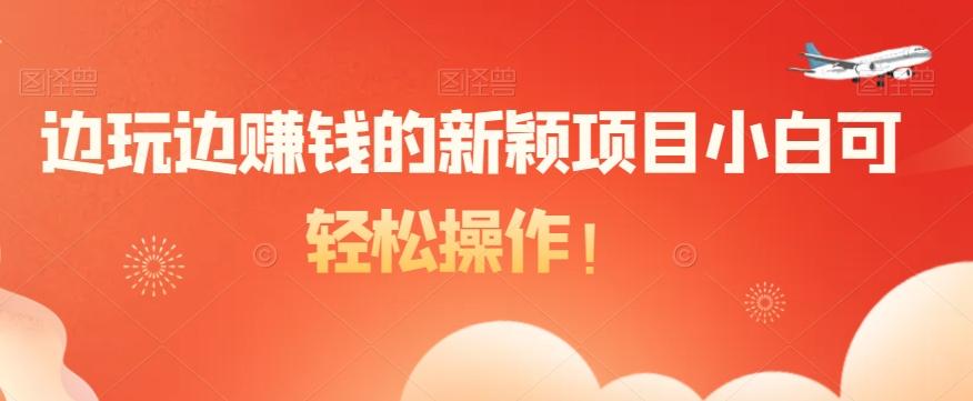 边玩边赚钱的新颖项目小白可轻松操作！-网创源码