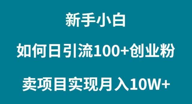 (9556期)新手小白如何通过卖项目实现月入10W+-网创源码