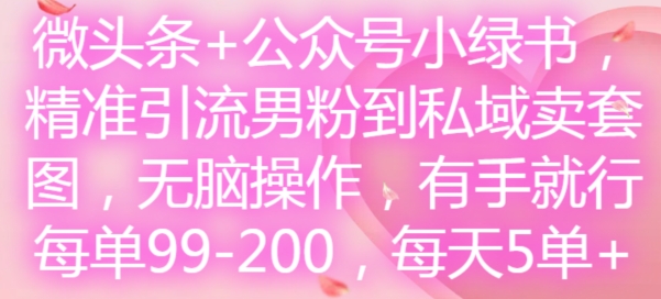 微头条+公众号小绿书，精准引流男粉到私域卖套图，无脑操作，有手就行，每单99-200，每天5单-网创源码