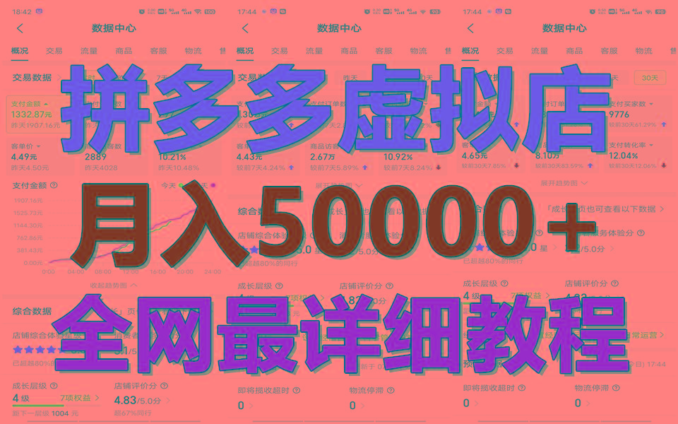拼多多虚拟电商训练营月入50000+你也行，暴利稳定长久，副业首选-网创源码