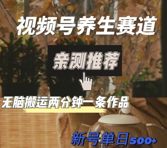 视频号养生赛道暴力掘金，无脑搬运，两分钟一条作品-新日单入500+-网创源码